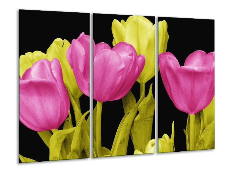 Canvas schilderij Tulp | Roze, Geel, Zwart | 120x80cm 3Luik