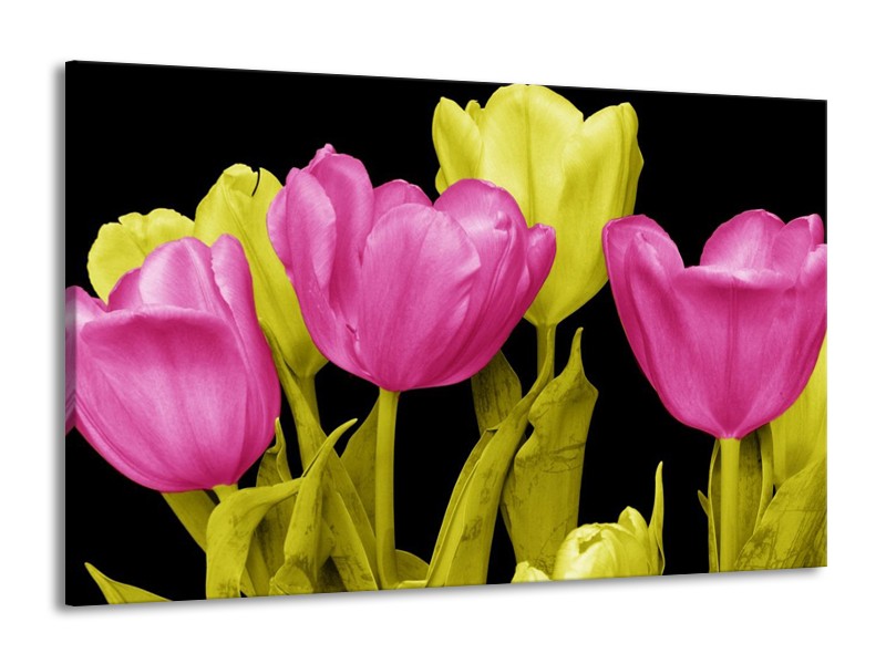 Canvas schilderij Tulp | Roze, Geel, Zwart | 140x90cm 1Luik