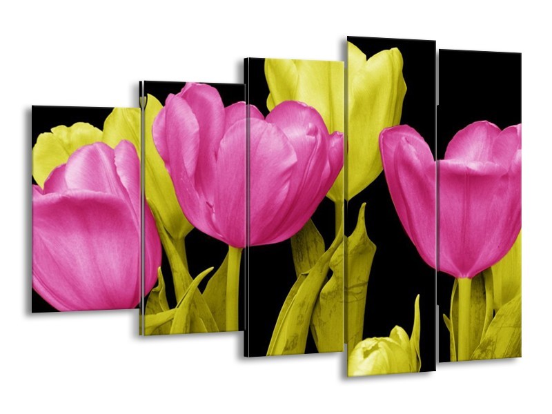 Canvas schilderij Tulp | Roze, Geel, Zwart | 150x100cm 5Luik