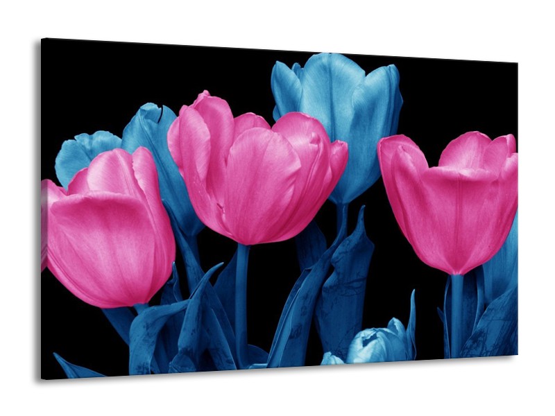 Canvas schilderij Tulp | Roze, Blauw, Zwart | 140x90cm 1Luik