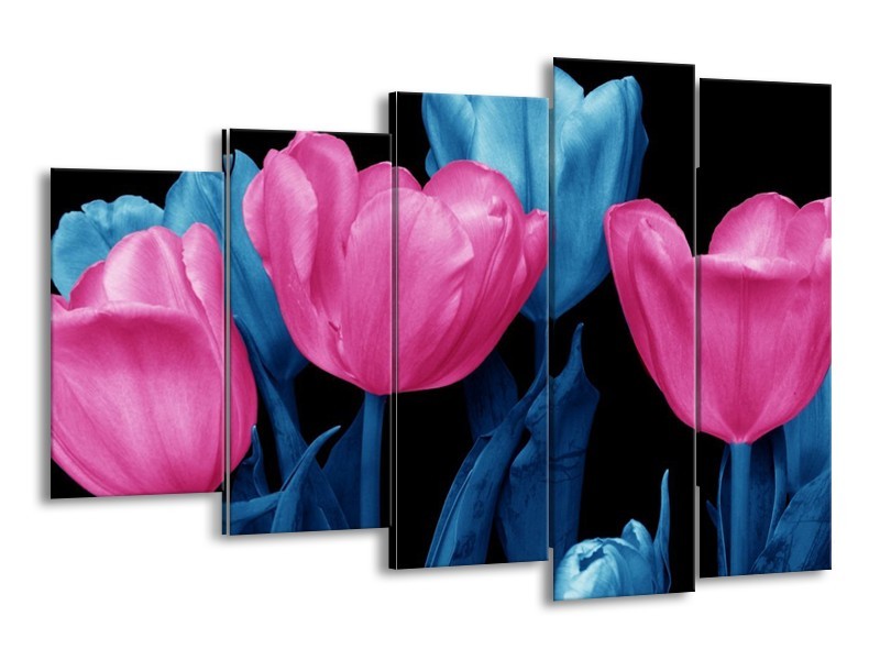 Canvas schilderij Tulp | Roze, Blauw, Zwart | 150x100cm 5Luik