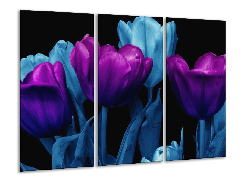 Canvas schilderij Tulp | Paars, Blauw, Zwart | 120x80cm 3Luik
