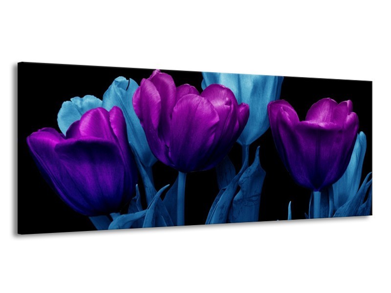Canvas schilderij Tulp | Paars, Blauw, Zwart | 145x58cm 1Luik