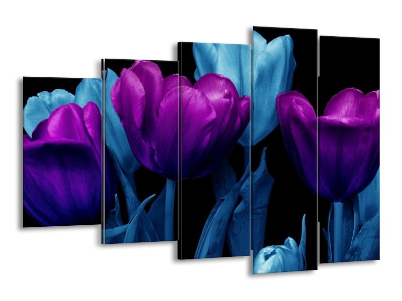 Canvas schilderij Tulp | Paars, Blauw, Zwart | 150x100cm 5Luik