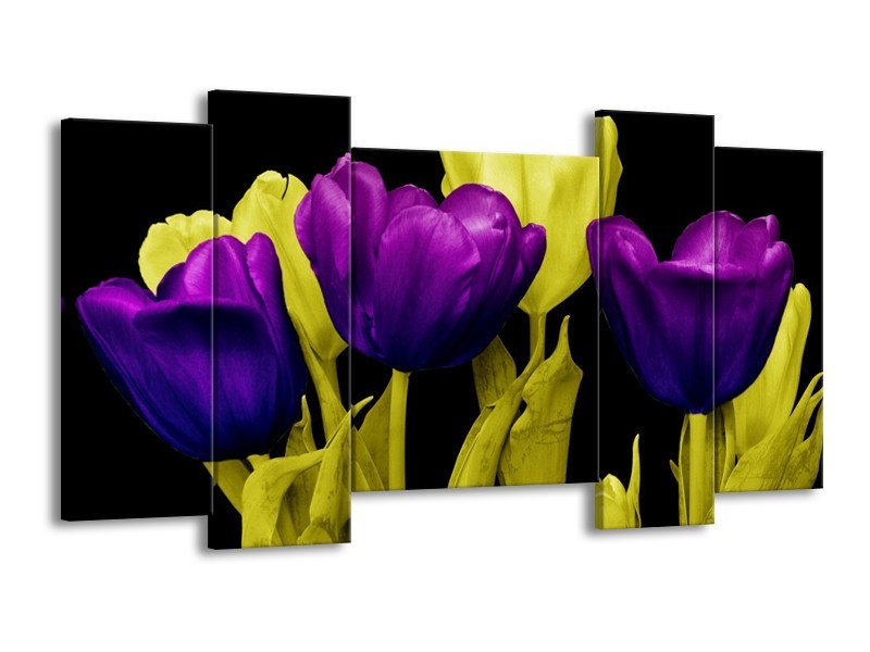 Canvas schilderij Tulp | Paars, Geel, Zwart | 120x65 5Luik