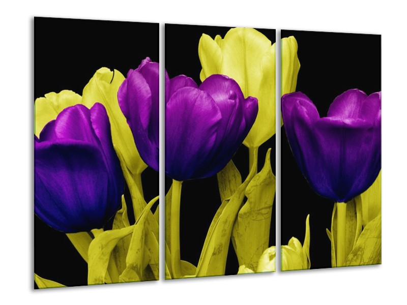 Canvas schilderij Tulp | Paars, Geel, Zwart | 120x80cm 3Luik