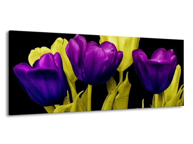 Canvas schilderij Tulp | Paars, Geel, Zwart | 145x58cm 1Luik