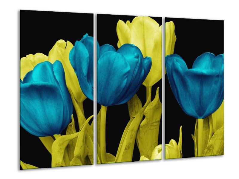 Canvas schilderij Tulp | Blauw, Geel, Zwart | 120x80cm 3Luik