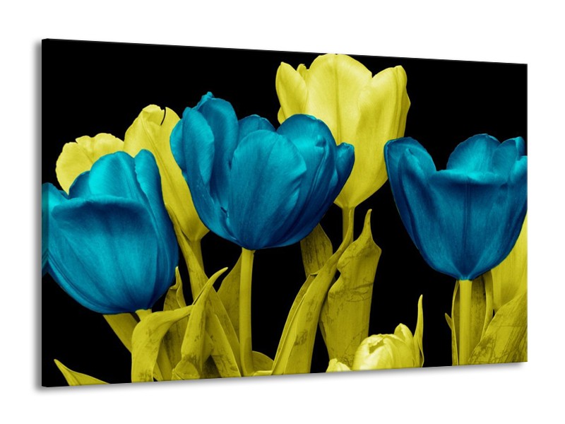 Canvas schilderij Tulp | Blauw, Geel, Zwart | 140x90cm 1Luik