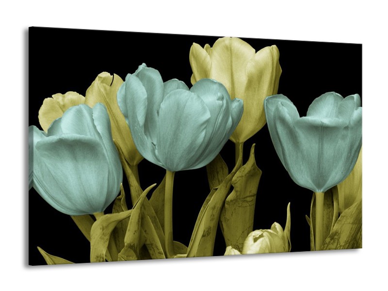 Canvas schilderij Tulp | Blauw, Groen, Zwart | 140x90cm 1Luik