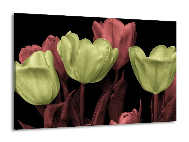 Canvas schilderij tulp | Geel, Rood, Zwart | 140x90cm 1Luik