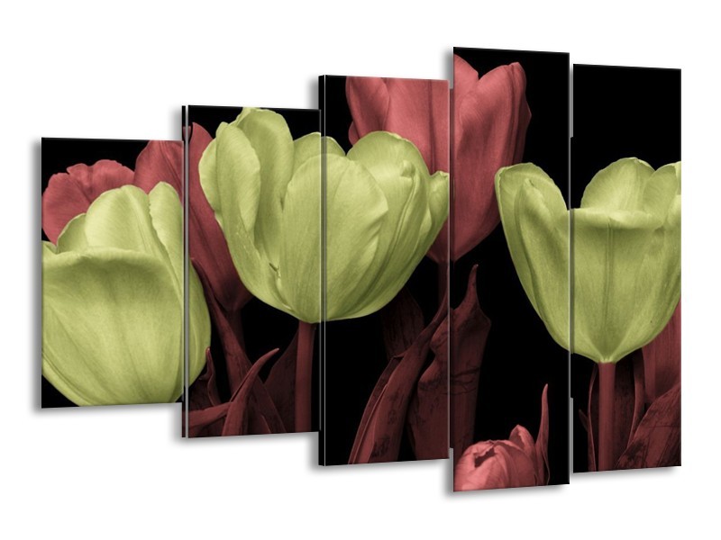 Canvas schilderij tulp | Geel, Rood, Zwart | 150x100cm 5Luik