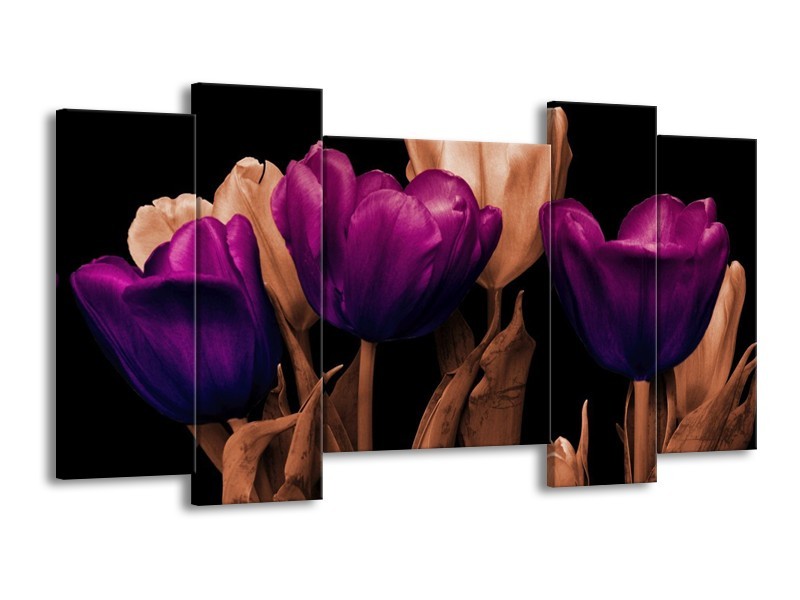 Canvas schilderij Tulp | Paars, Bruin, Zwart | 120x65 5Luik