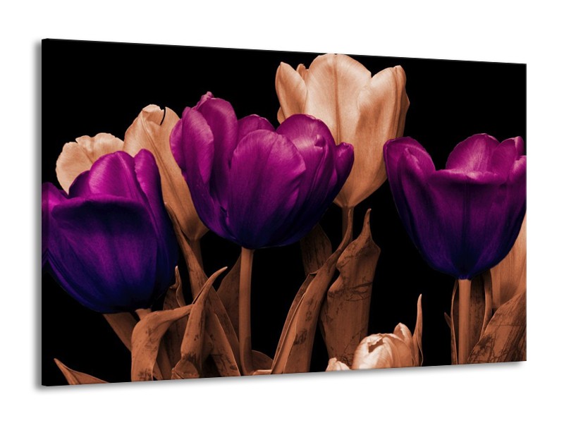 Canvas schilderij Tulp | Paars, Bruin, Zwart | 140x90cm 1Luik