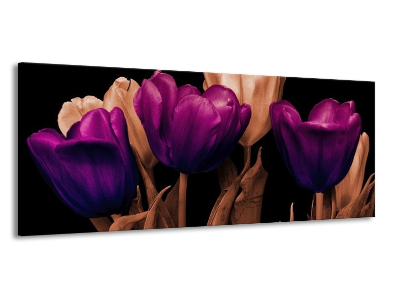 Canvas schilderij Tulp | Paars, Bruin, Zwart | 145x58cm 1Luik