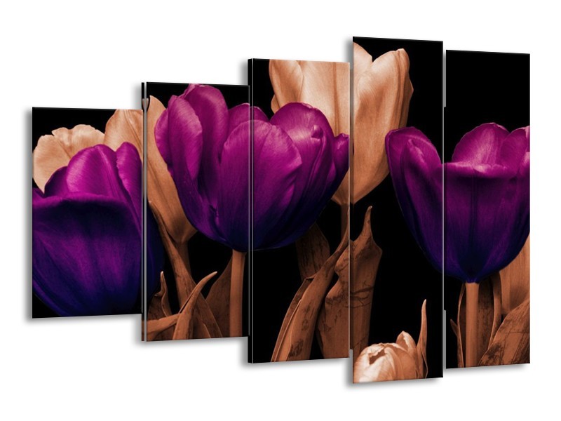 Canvas schilderij Tulp | Paars, Bruin, Zwart | 150x100cm 5Luik