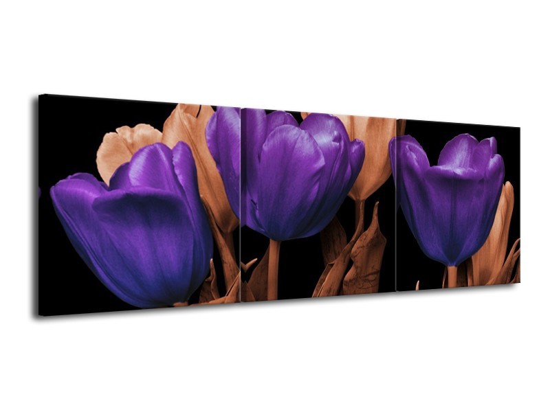Canvas schilderij Tulp | Paars, Bruin, Zwart | 120x40cm 3Luik