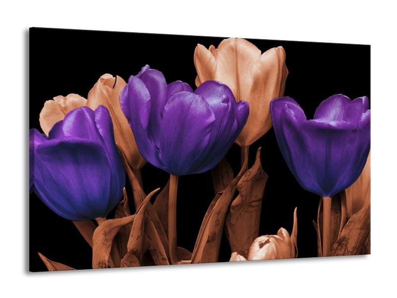 Canvas schilderij Tulp | Paars, Bruin, Zwart | 140x90cm 1Luik