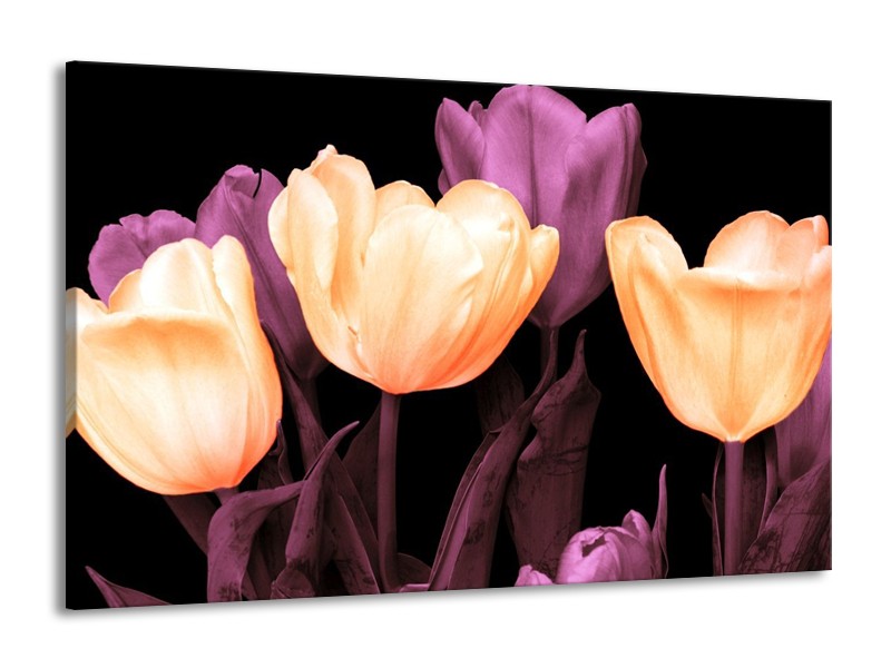 Canvas schilderij Tulp | Geel, Paars, Zwart | 140x90cm 1Luik