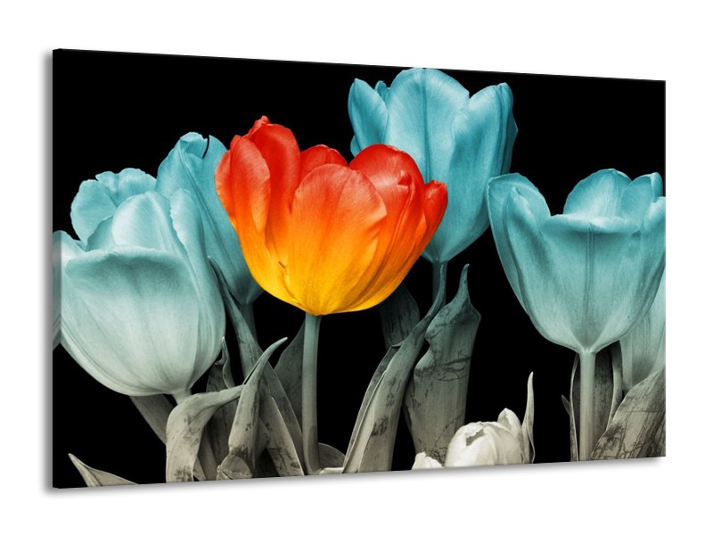 Canvas schilderij Tulp | Oranje, Blauw, Zwart | 140x90cm 1Luik