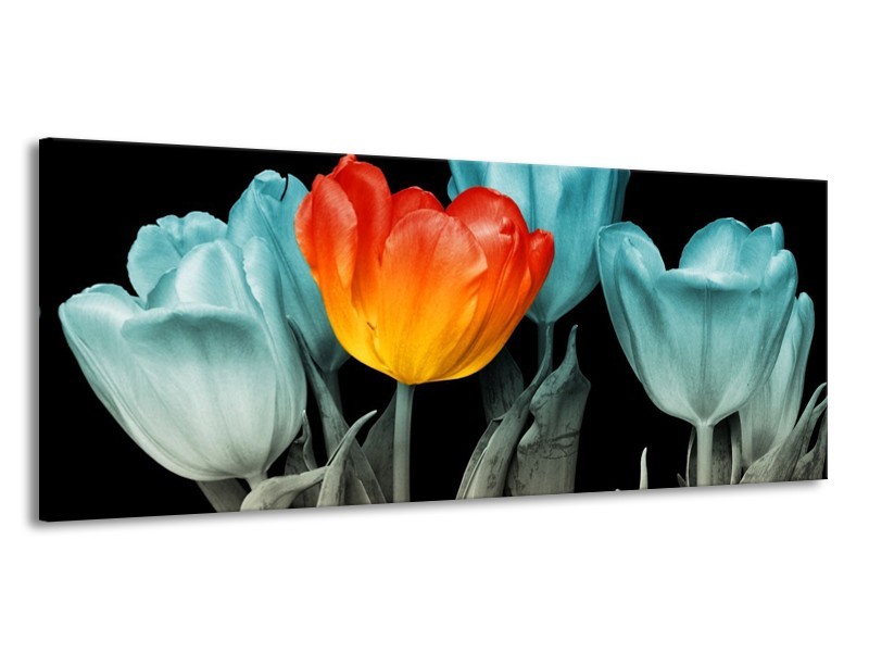 Canvas schilderij Tulp | Oranje, Blauw, Zwart | 145x58cm 1Luik