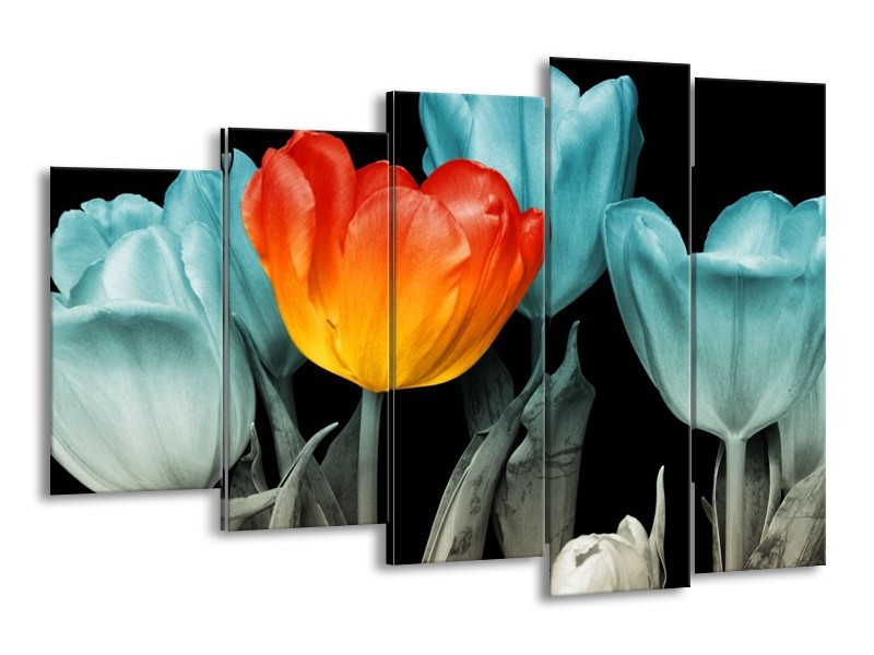 Canvas schilderij Tulp | Oranje, Blauw, Zwart | 150x100cm 5Luik
