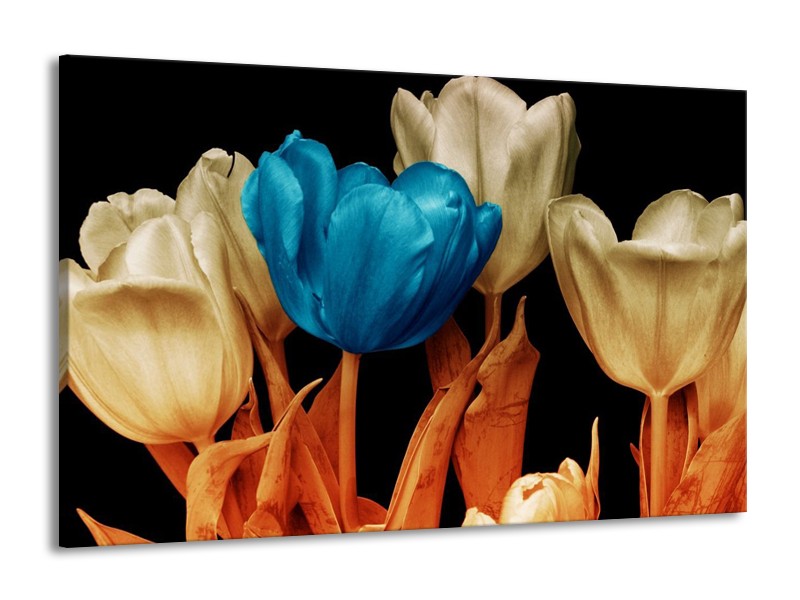 Canvas schilderij Tulp | Blauw, Oranje, Zwart | 140x90cm 1Luik