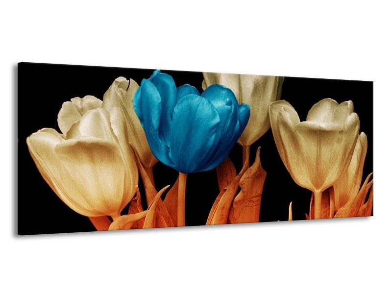 Canvas schilderij Tulp | Blauw, Oranje, Zwart | 145x58cm 1Luik