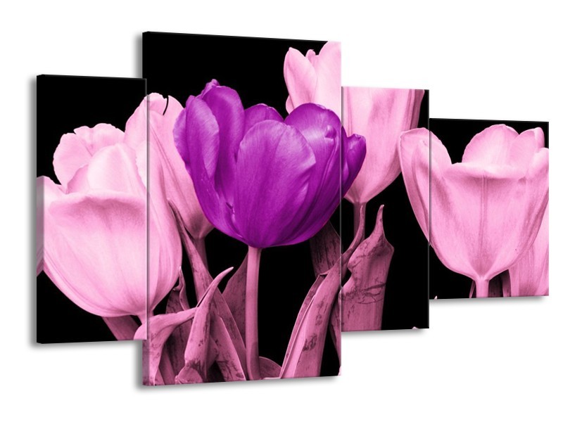 Canvas schilderij Tulp | Paars, Roze, Zwart | 120x75cm 4Luik