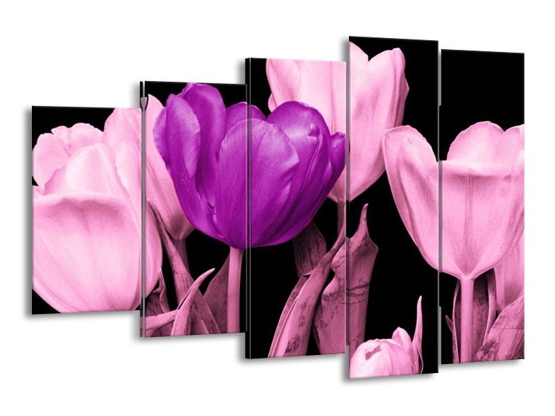 Canvas schilderij Tulp | Paars, Roze, Zwart | 150x100cm 5Luik