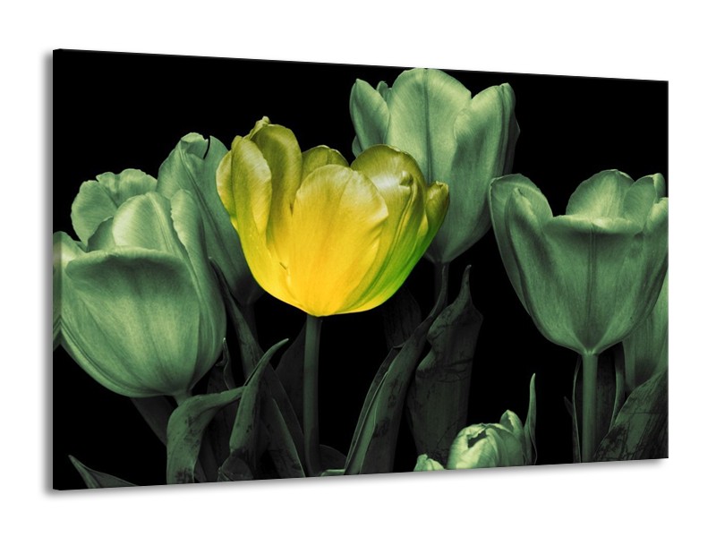 Canvas schilderij Tulp | Groen, Geel, Zwart | 140x90cm 1Luik