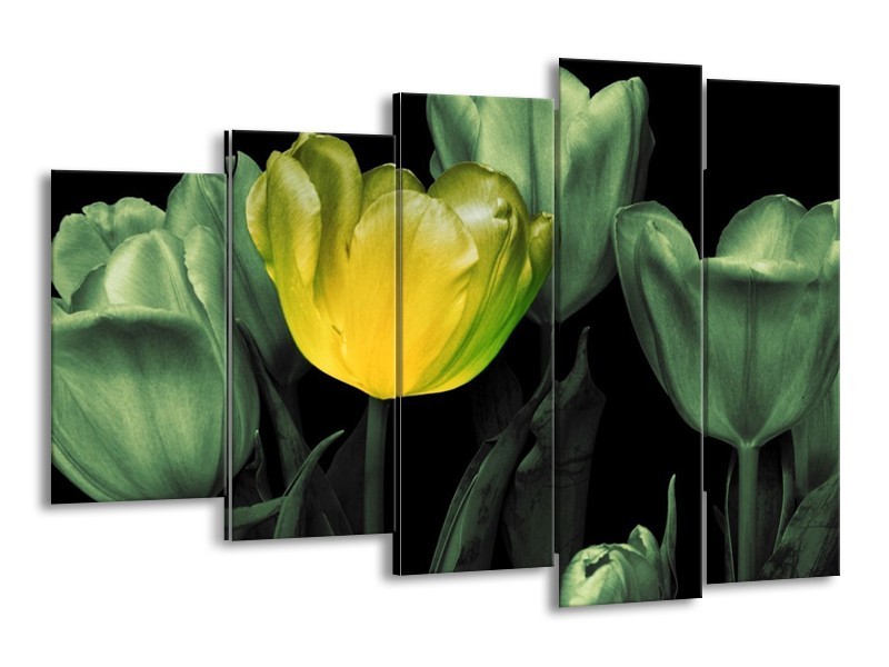 Canvas schilderij Tulp | Groen, Geel, Zwart | 150x100cm 5Luik