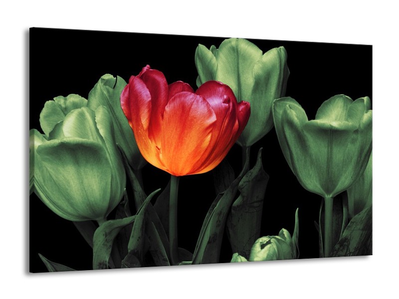 Canvas schilderij Tulp | Oranje, Groen, Zwart | 140x90cm 1Luik