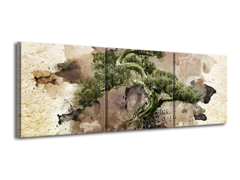 Canvas schilderij Bonsai | Groen, Wit | 150x50cm 3Luik