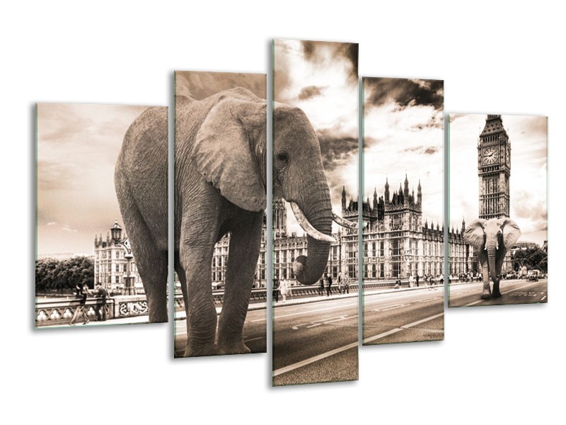 Canvas schilderij Olifant | Grijs, Zwart | 170x100cm 5Luik