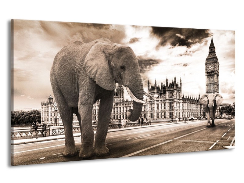 Canvas schilderij Olifant | Grijs, Zwart | 190x100cm 1Luik