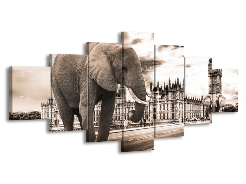 Canvas schilderij Olifant | Grijs, Zwart | 210x100cm 7Luik