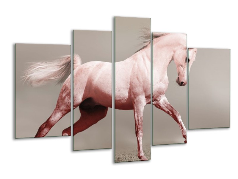Canvas schilderij Paard | Roze, Grijs | 170x100cm 5Luik