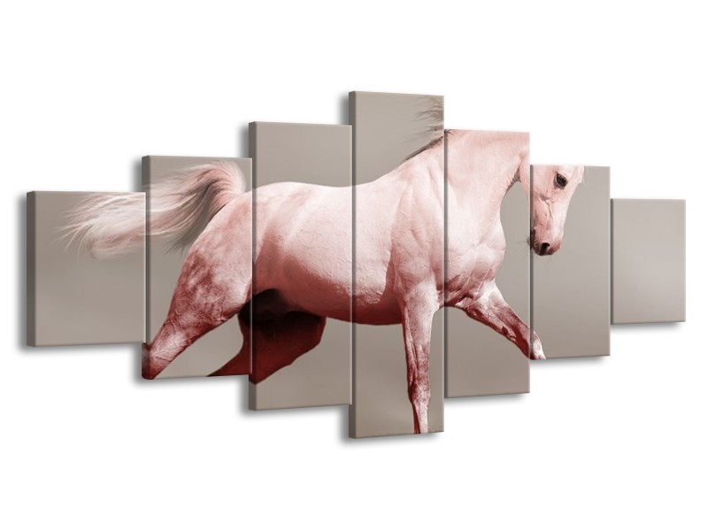 Canvas schilderij Paard | Roze, Grijs | 210x100cm 7Luik