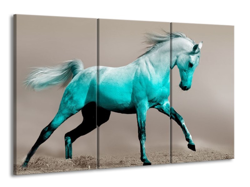 Canvas schilderij Paard | Blauw, Grijs | 165x100cm 3Luik