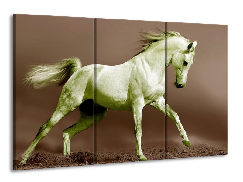 Canvas schilderij Paard | Bruin, Groen | 165x100cm 3Luik