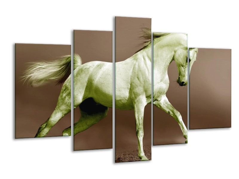 Canvas schilderij Paard | Bruin, Groen | 170x100cm 5Luik