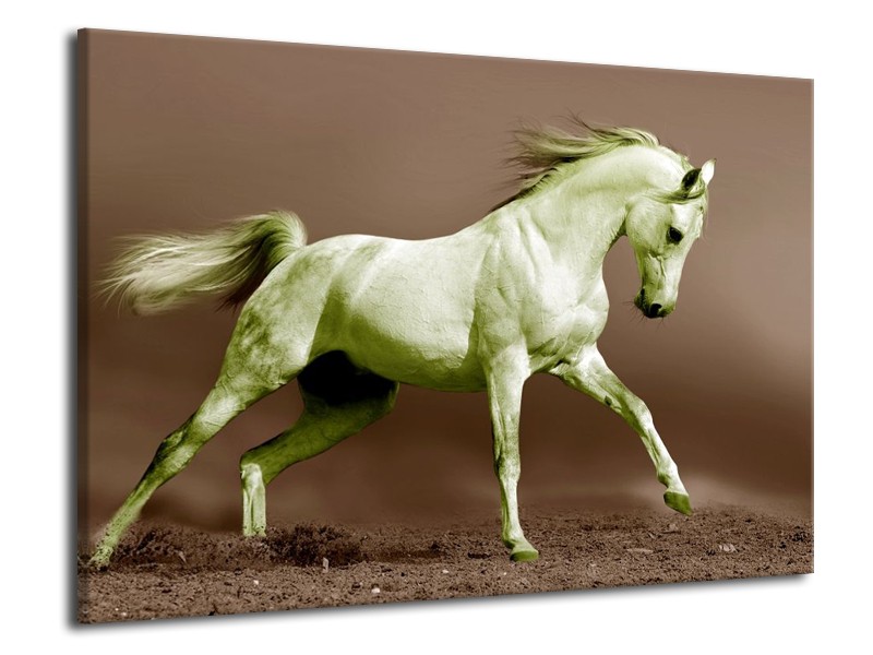 Glas schilderij Paard | Bruin, Groen | 70x50cm 1Luik