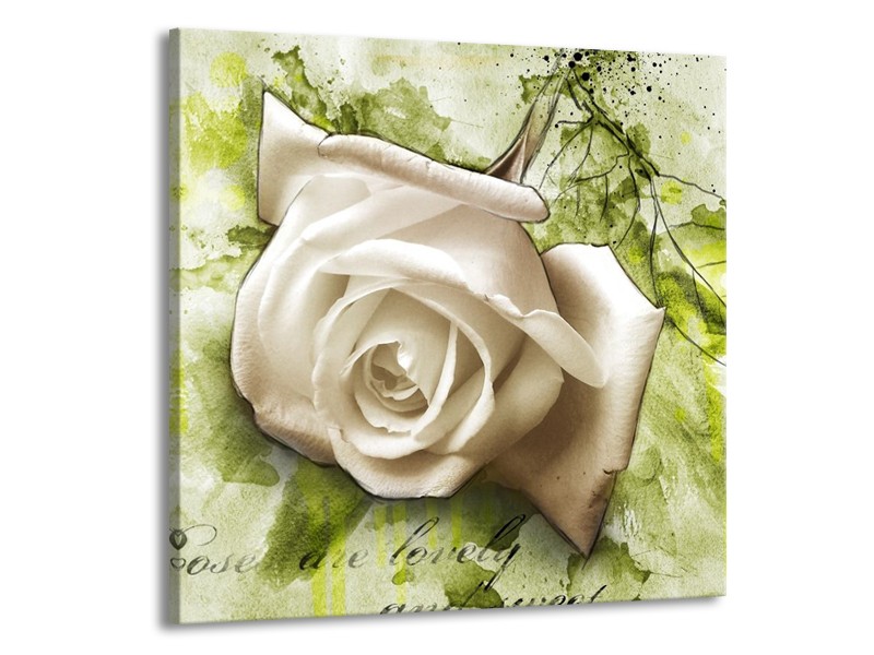 Canvas schilderij Roos | Groen, Wit | 50x50cm 1Luik