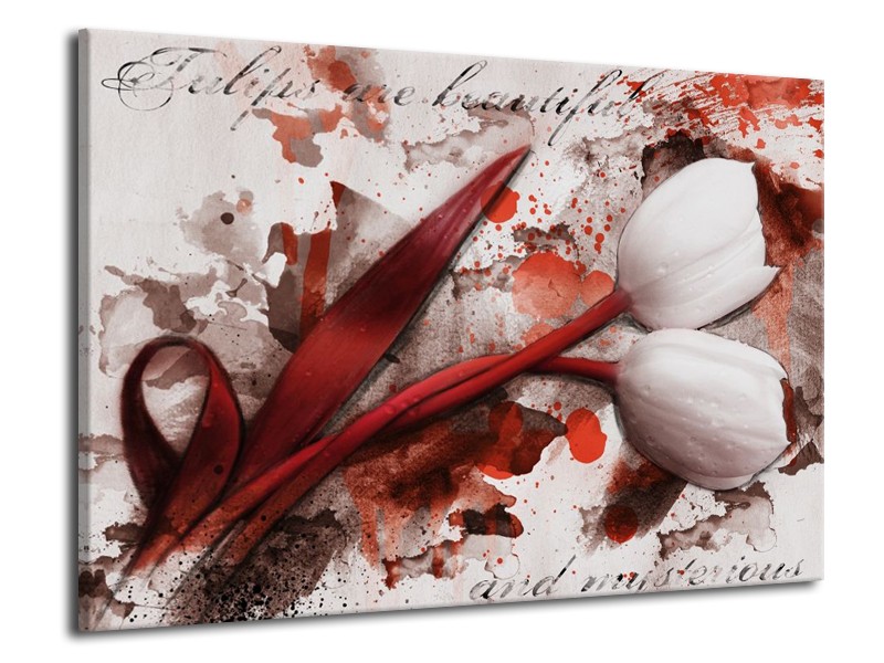 Canvas schilderij Tulp | Rood, Wit, Bruin | 70x50cm 1Luik