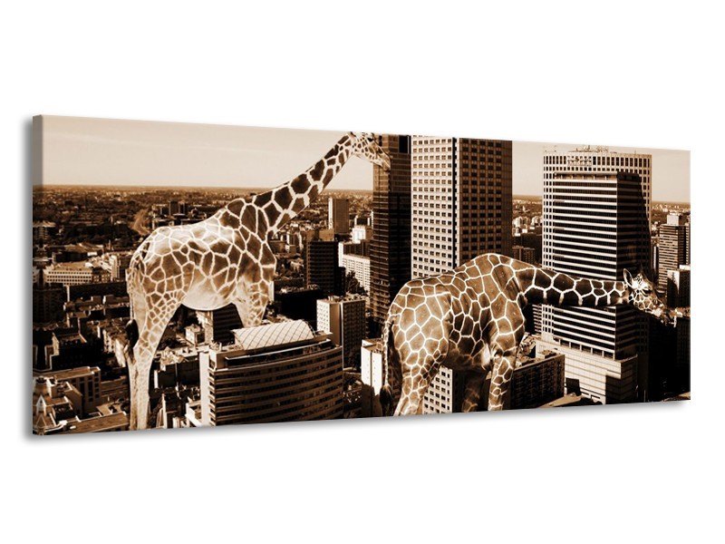 Canvas schilderij Giraffe | Bruin, Wit | 145x58cm 1Luik