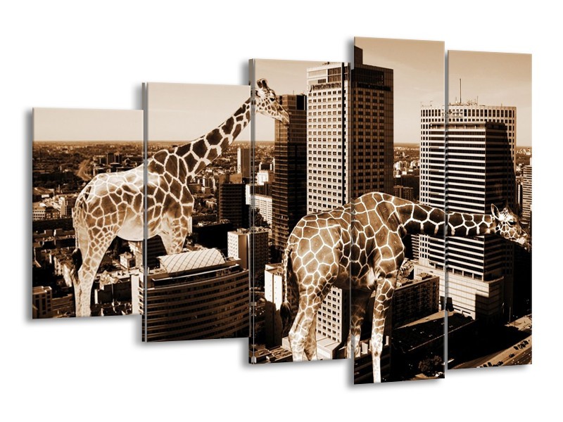 Canvas schilderij Giraffe | Bruin, Wit | 150x100cm 5Luik