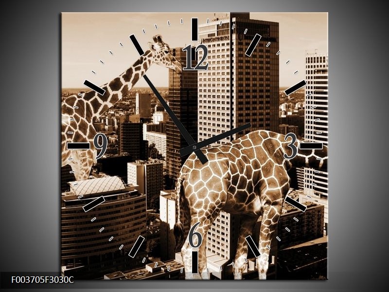 Klok schilderij Giraffe | Bruin, Wit | 30x30cm 1Luik