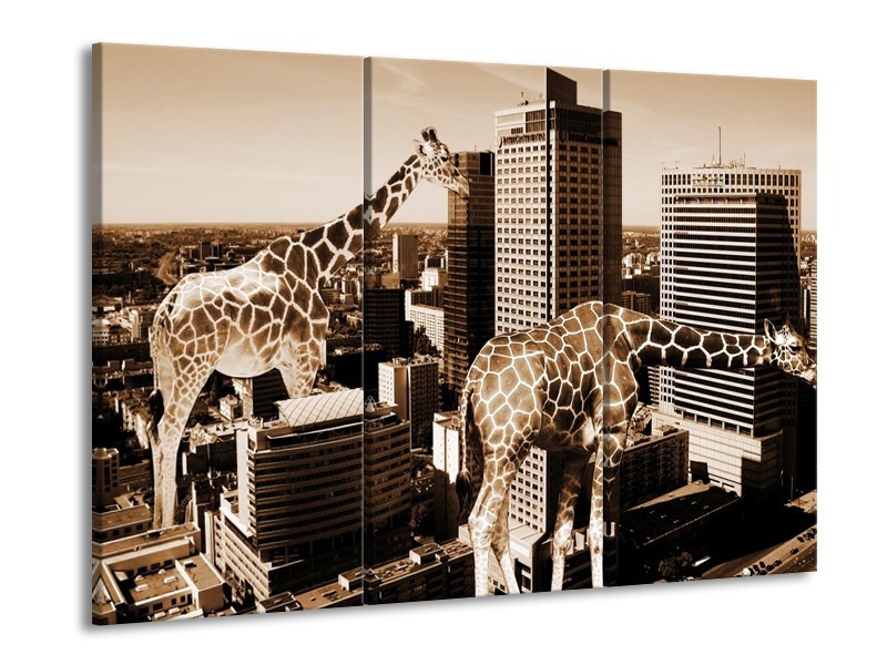 Canvas schilderij Giraffe | Bruin, Wit | 90x60cm 3Luik