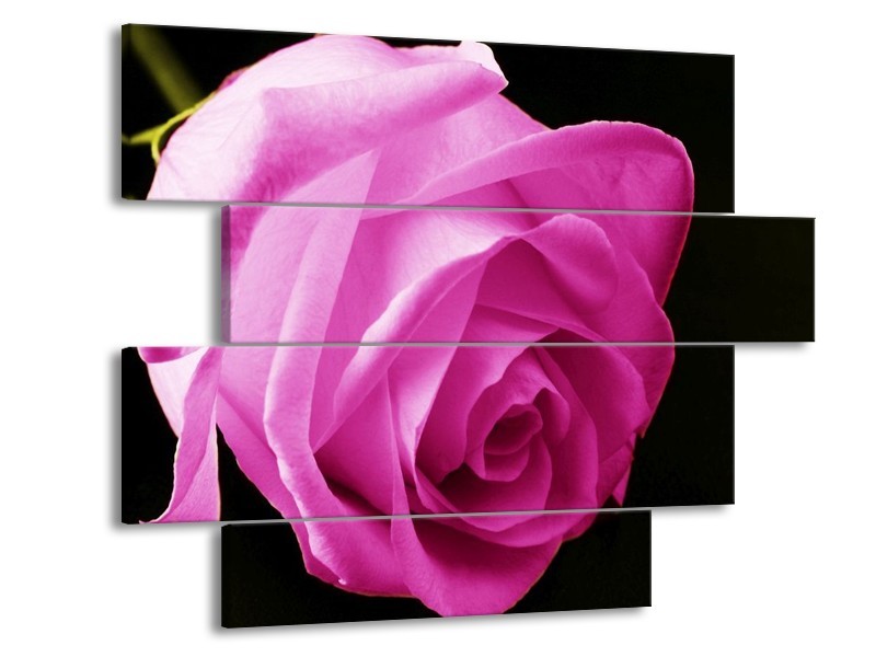 Canvas schilderij Roos | Roze, Zwart | 115x85cm 4Luik